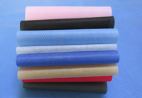 易县涤纶（PET）无纺布是什么